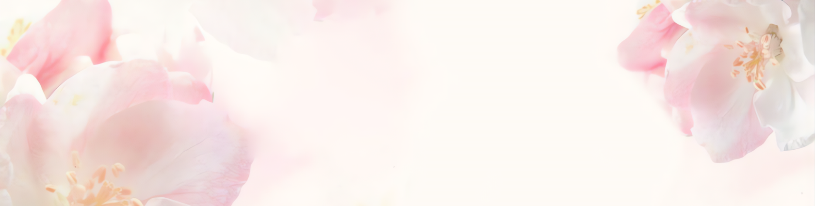 Banner   Dịch Vụ